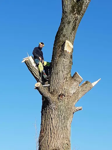Artisan Stéphane