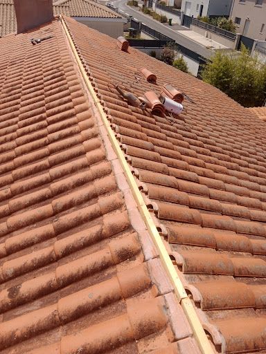Entreprise Freddy