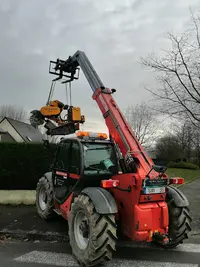 Bois Lepretre | Lepretre Elagage Abattage