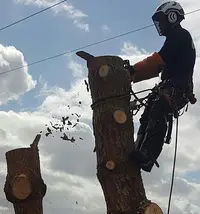 Excellence Élagage