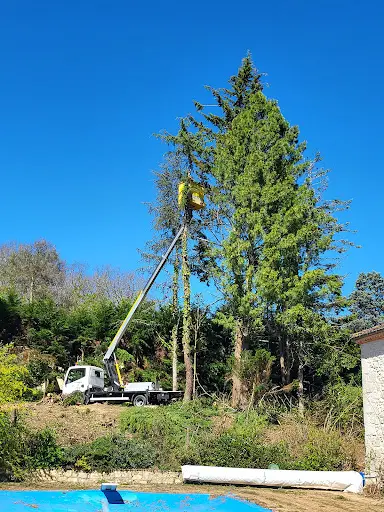 Rodriguez Élagage Abattage - Entretien Jardin