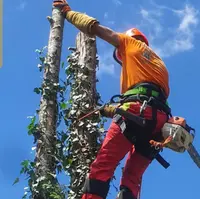 Eguilles Élagage