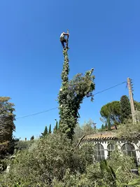 Élagage du Pays d'Aix - Élagage Débroussaillage Taille de Haies Aix en Provence Marseille Elagueur Bouches du Rhône 13