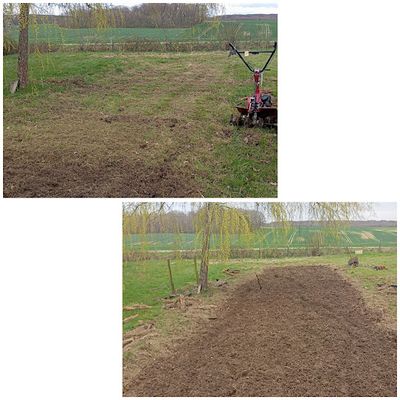 Multi-services du Jardin au Grenier