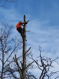 Helfrick J. Élagage et Entretien Espaces Verts