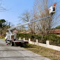 Jwe Élagage Abattage Rognage Ambarès-et-lagrave Bordeaux