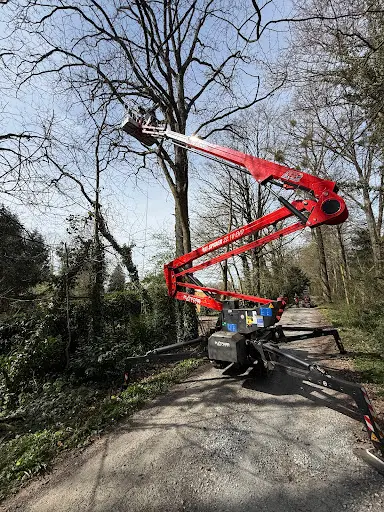 Nature Elagage Mayenne (53)