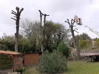 Edn Élagage Abattage