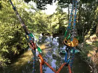 Théo Dans L’arbre 79