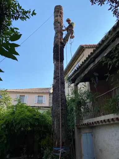 Elagueur 06 Élagage Camion Nacelle Abattage Arbres Dessouchage Débroussaillage Entretien Espaces Verts Alpes-maritimes Cannes