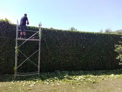 Coudurier Environnement