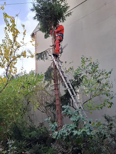 Vincent Espaces Verts