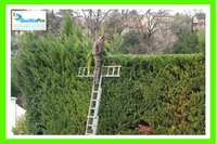 Qualitapro Jardinier Diplômé Depuis 20 Ans, Réduction d'Impot Aubagne.