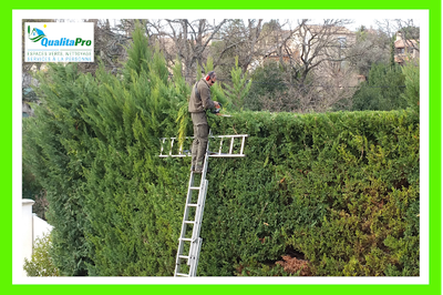 Qualitapro Jardinier Diplômé Depuis 20 Ans, Réduction d'Impot Aubagne.