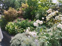 Les Jardins de Babilotte
