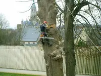 Broggi Elagage
