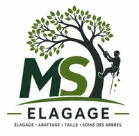 Ms Élagage Auriol
