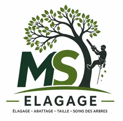 Ms Élagage Auriol
