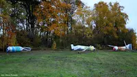 Les Arboristes du Vexin