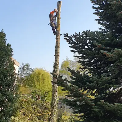 Boutard Parcs et Jardins
