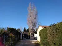 Élagage Mousse Christophe