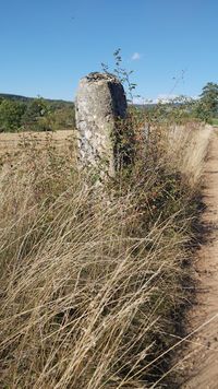 Badaroux Couverture