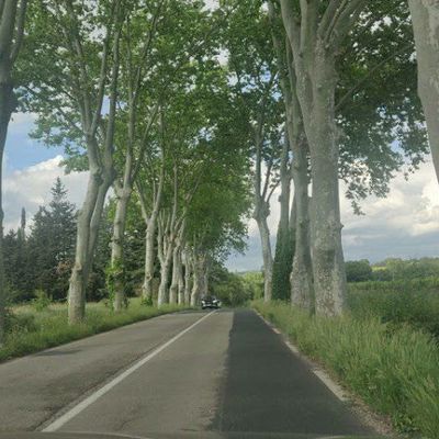 France Couverture Charpente