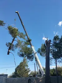 Serpe - Agence de Montpellier