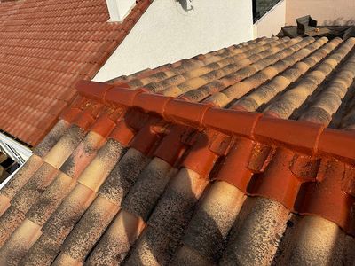Rénove Toitures : Couverture, Zinguerie, Démoussage, Étanchéité, Nettoyage de Façade. Dordogne Périgueux Angoulême