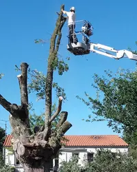 Antoine Elagueur 64