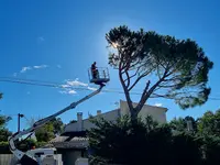 Paul Élagage - Élagueur Avec Nacelle en Vaucluse - Abattage - Dessouchage