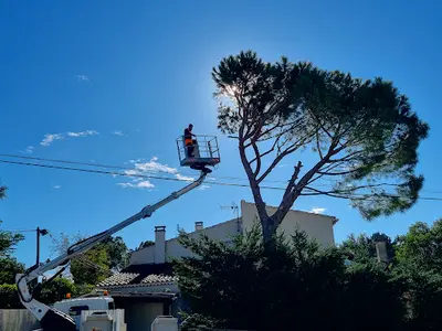 Paul Élagage - Élagueur Avec Nacelle en Vaucluse - Abattage - Dessouchage