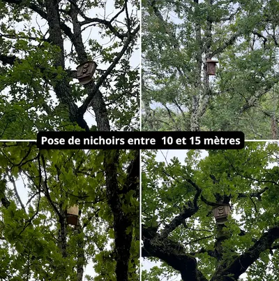 Delpech Nature et Services