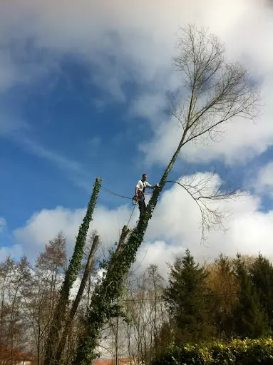 Lasnier Sébastien