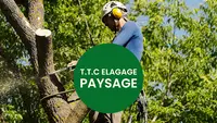 Ttc Elagage Paysage
