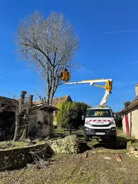 Entreprise Mp Élagage. Elagueur Grimpeur/jardinier/paysagiste