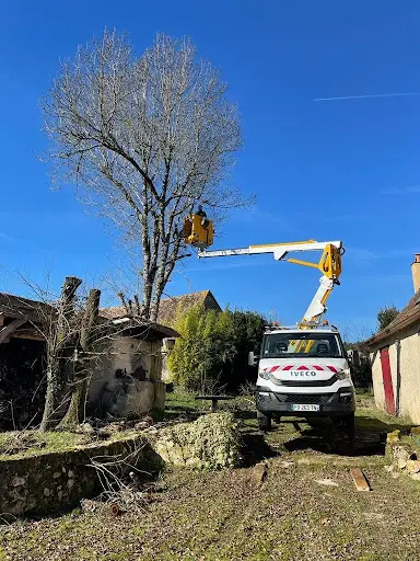 Entreprise Mp Élagage. Elagueur Grimpeur/jardinier/paysagiste