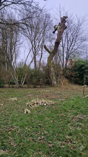 Jason Élagage Abattage Entretiens Parcs et Jardins
