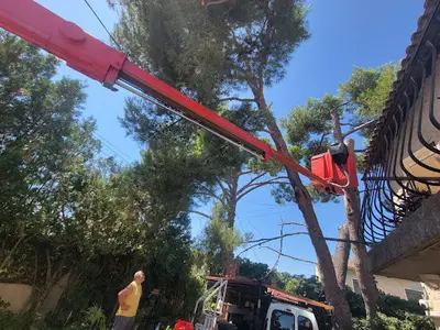 Naveri Elagage 13 Jardinier Elagueur Berre-l Étang