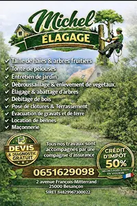 Michel Élagage 25