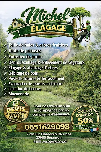 Michel Élagage 25