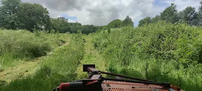 Épineux Débroussaillage