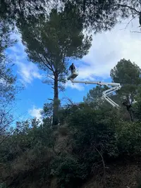 Entreprise Gargowitch - Elagueur Paysagiste Béziers