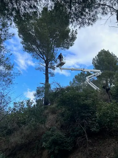 Entreprise Gargowitch - Elagueur Paysagiste Béziers