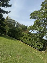 Espaces Verts et Petits Travaux