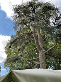 La Pointure de la Taille Mr Bernard Valès