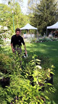 Art Vegetal | Paysagiste | Élagage | Abattage