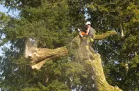 Sarl Nature et Environnement