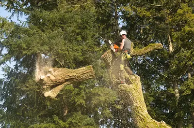 Sarl Nature et Environnement