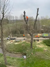 Dorkel Paysagiste
